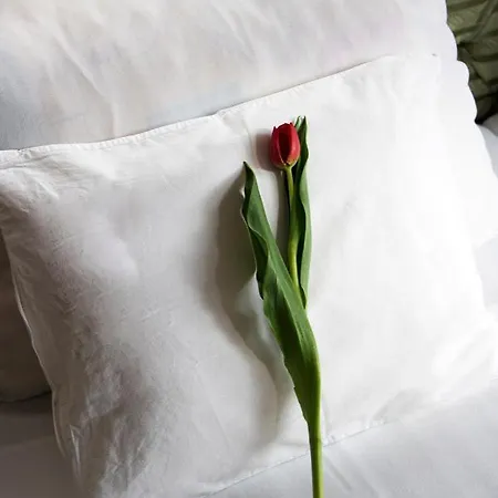 Varfal Wellness Panzio Hotell Pécs