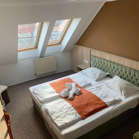 Ξενοδοχείο Varfal Wellness Panzio