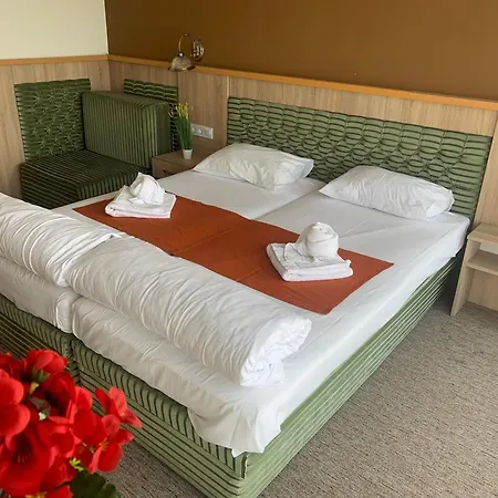 Hotell Varfal Wellness Panzio Pécs