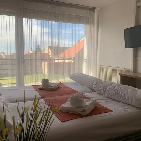 Ξενοδοχείο Varfal Wellness Panzio 3*