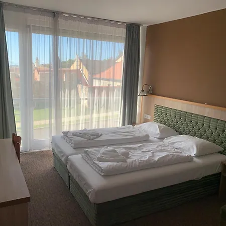 Ξενοδοχείο Varfal Wellness Panzio