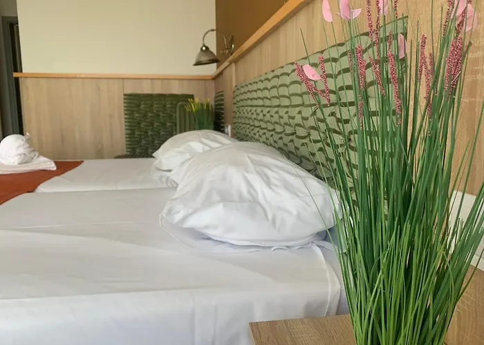 Varfal Wellness Panzio