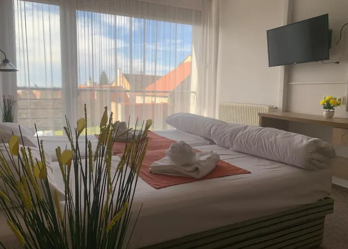 Hotel Varfal Wellness Panzio 3*