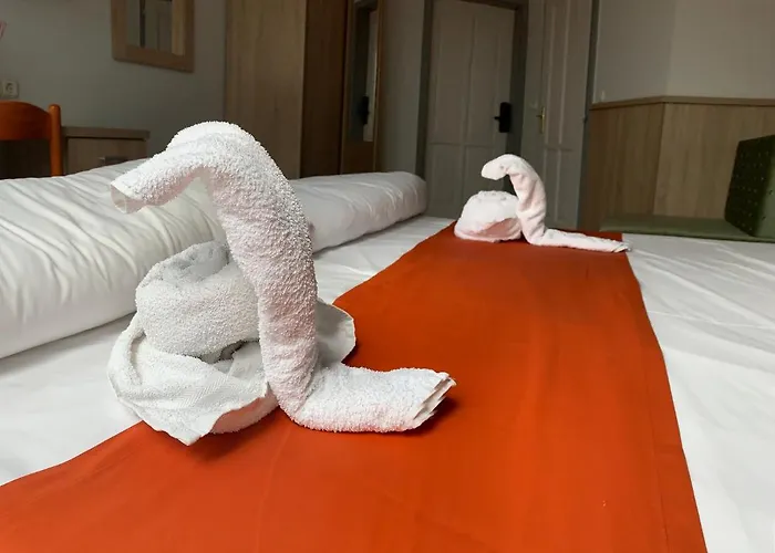Hotel Varfal Wellness Panzio Pecs
