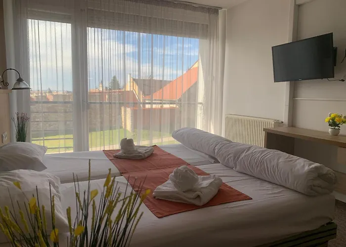 Hotel Varfal Wellness Panzio 3*